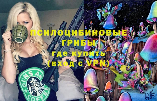 герыч Вяземский