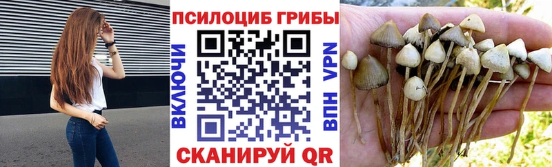 Галлюциногенные грибы ЛСД  Зеленогорск 