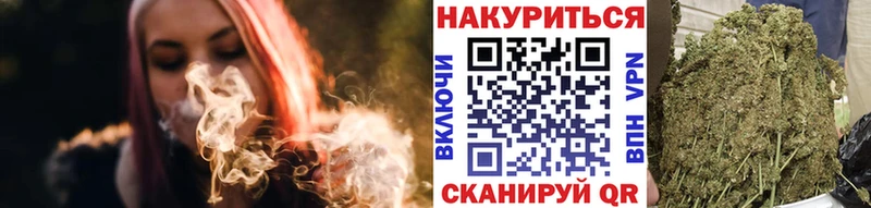 наркота  Зеленогорск  Канабис ГИДРОПОН 